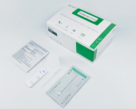 Một bước thử nghiệm thai kỳ nhanh HCG